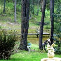 Gain Life Healing Health Retreat - Local Tourism 2