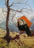 Gilligan Grant Gallery - Local Tourism 3