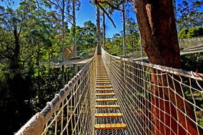 Book North Tamborine QLD Attractions Local Tourism Local Tourism