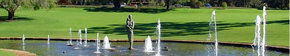 Kings Park Botanic Gardens - Local Tourism 3