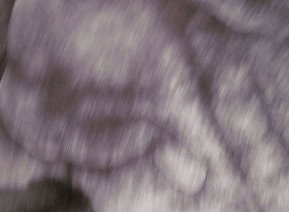 69 Smith Street - Accommodation Australia 1