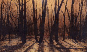 69 Smith Street - Accommodation Australia 2