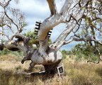 Colour Factory Gallery - Accommodation Australia 3