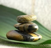The Nature of Balance - Local Tourism