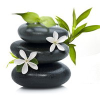 Tea House Spa Sauna - Local Tourism