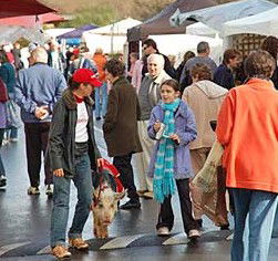 Arts Nunawading Inc - Local Tourism 0