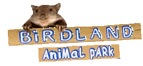 Birdland Animal Park - Australia Shopping 0
