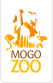 Mogo NSW Local Tourism