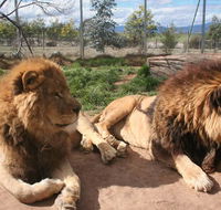Mansfield Zoo - Local Tourism