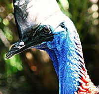 Alma Park Zoo - Local Tourism
