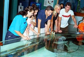 Underwater World - Australia Shopping 3
