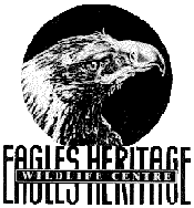 Eagles Heritage - Local Tourism