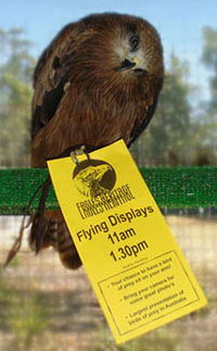 Eagles Heritage - Accommodation Australia 1