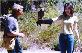 Eagles Heritage - Accommodation Australia 2