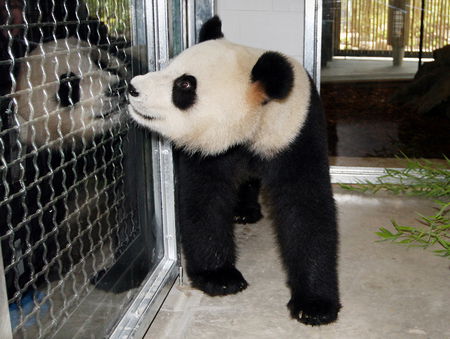 Adelaide Zoo - Accommodation Australia 3