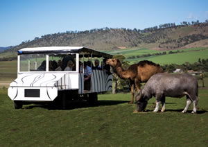 Zoo Doo Wildlife Park - Local Tourism 2