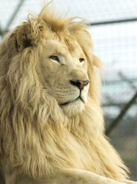 Zoo Doo Wildlife Park - Local Tourism 3