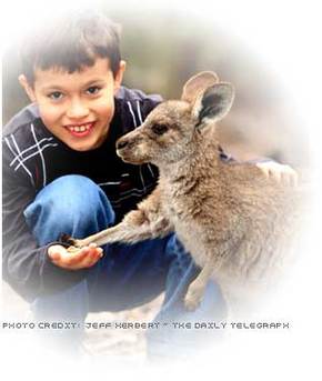 Australia Walkabout Wildlife Park - Accommodation Australia 1