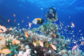  Local Tourism
