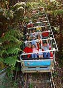 Scenic World Blue Mountains - Accommodation Australia 2