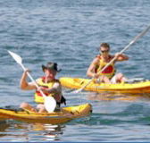 Manly Kayaks - Accommodation Australia