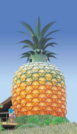 The Big Pineapple - Local Tourism 0
