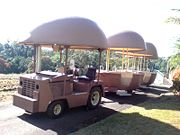 The Big Pineapple - Local Tourism 2