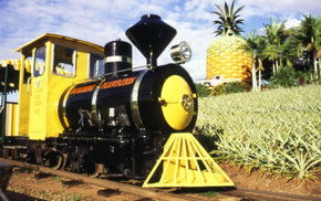 The Big Pineapple - Local Tourism 3