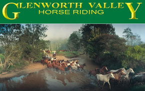 Peats Ridge NSW Accommodation Australia