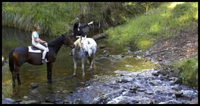 Glenworth Valley Horseriding - Accommodation Australia 1