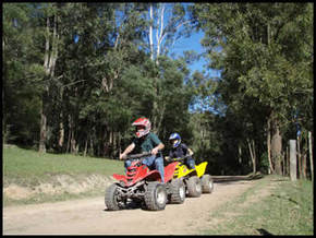 Glenworth Valley Horseriding - Accommodation Australia 3