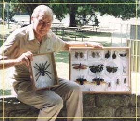 Butterfly Farm - Accommodation Australia 1