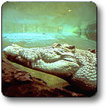 Kakadu National Park - Local Tourism 1