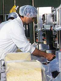 Allansford Cheese World - Accommodation Australia 1