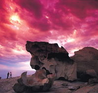 Kangaroo Island Adventure Tour 2 day/1 night - Local Tourism