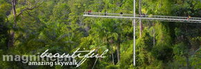 Rainforest Skywalk - Accommodation Australia 2