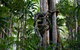 Rainforest Skywalk - thumb 3