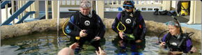 Scuba World - Australia Shopping 2