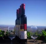 Mount Tamborine Winery  Homestead - Local Tourism
