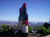 Mount Tamborine Winery & Homestead - Accommodation Australia 0
