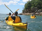 Sydney Harbour Kayaks - Local Tourism 1