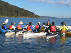 Sydney Harbour Kayaks - Local Tourism 2