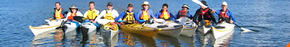 Sydney Harbour Kayaks - Local Tourism 3