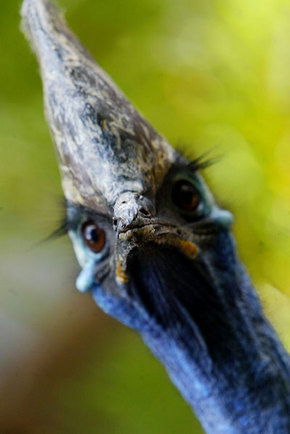 Symbio Wildlife Gardens - Local Tourism 2