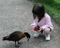 Urimbirra Wildlife Park - Accommodation Australia 3