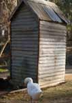 Wagga Wagga Zoo - Accommodation Australia 2