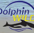 Dolphin Wild - Local Tourism