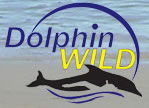 Dolphin Wild - Bed n Breakfasts 0