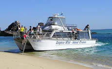 Dolphin Wild - Bed n Breakfasts 2