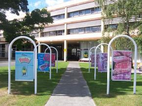 Cadbury Chocolate Factory Tour - Local Tourism 2